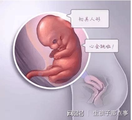 供卵试管选性别代生咨询